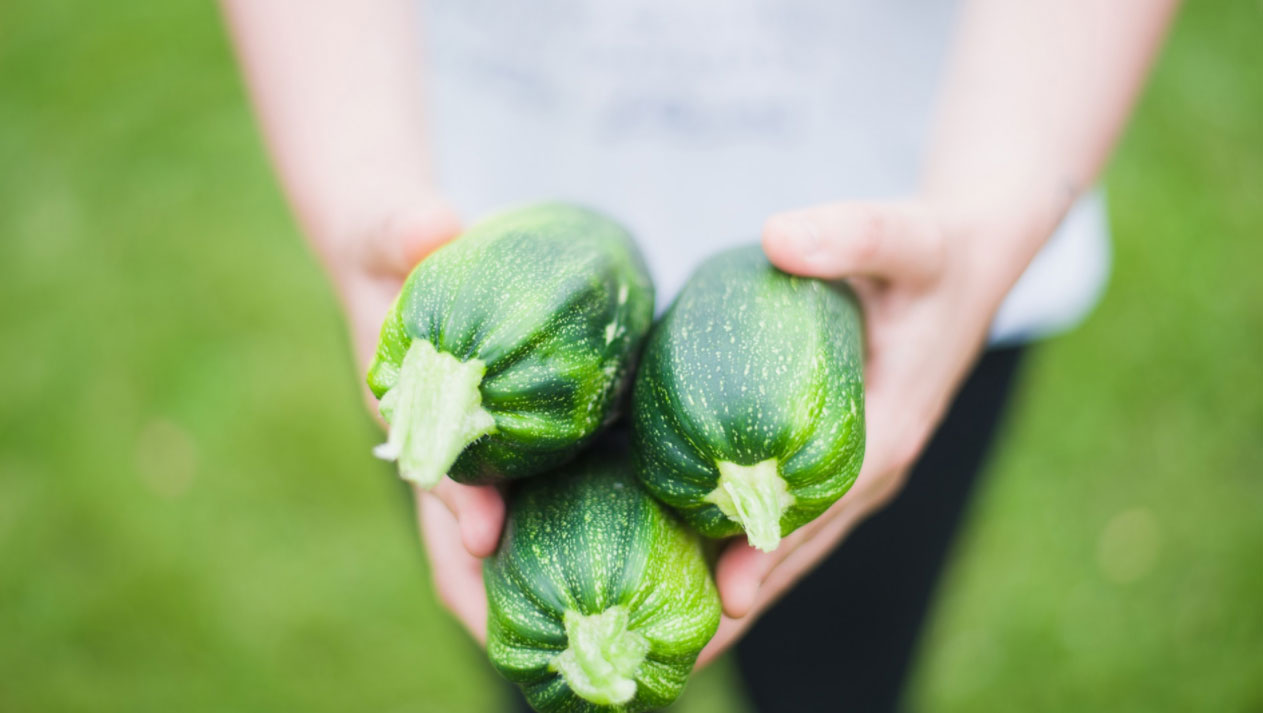 The future of food systems beyond Covid-19: the FoodE vision for a more resilient Europe