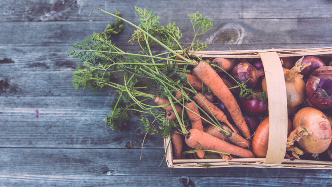Sustainable Gastronomy Day and FoodE