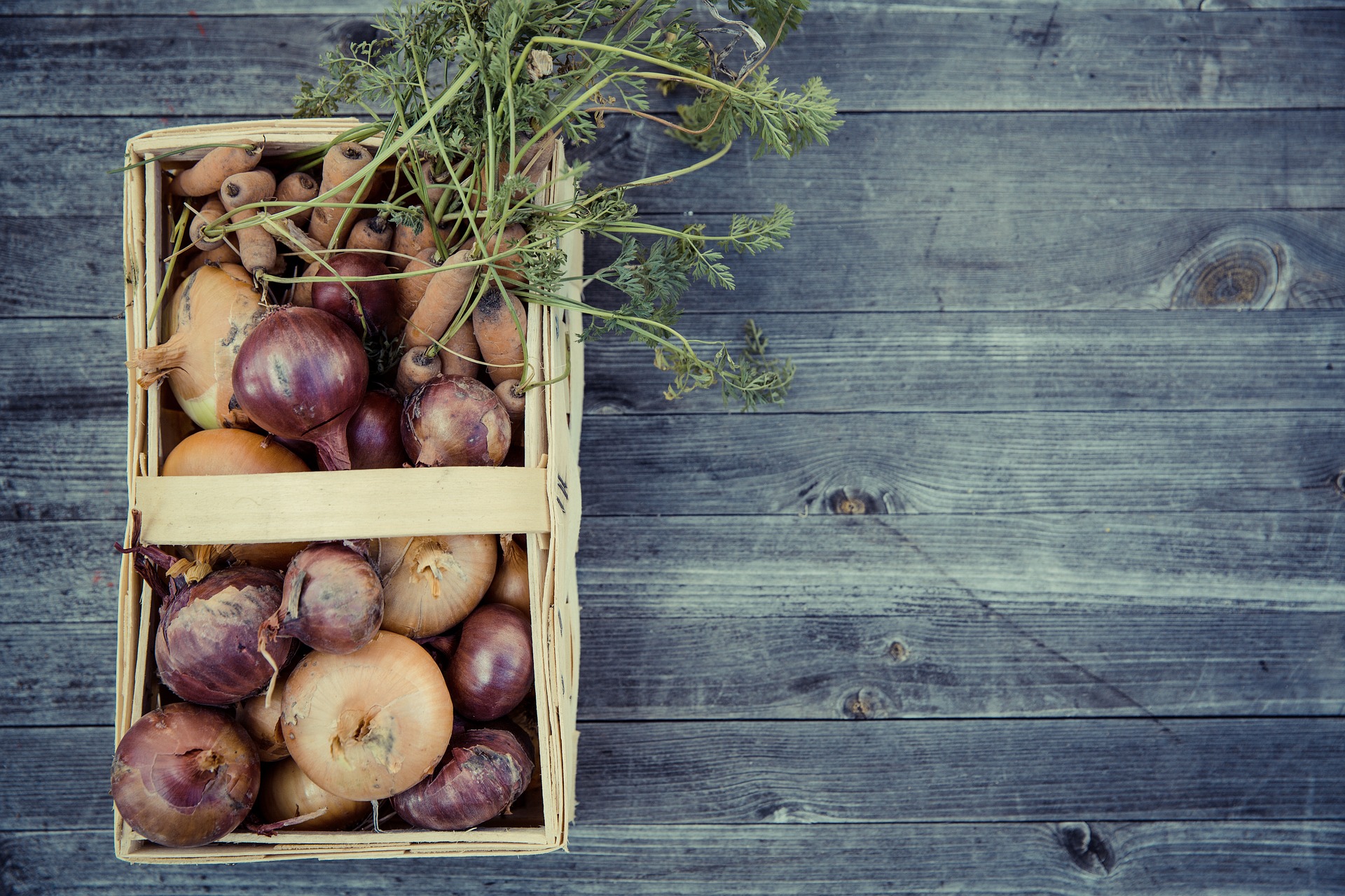 Norway’s developing urban agriculture