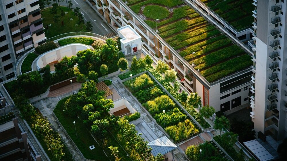 Barcelona assesses opportunities and barriers of green roofs in cities