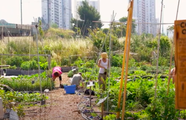 100% for humans, by humans, in collaboration with nature