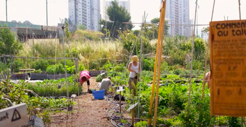100% for humans, by humans, in collaboration with nature