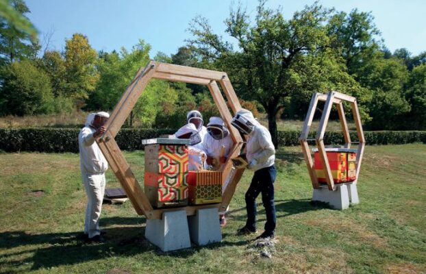Urban beekeeping in Slovenia: moving forward, despite the pandemic