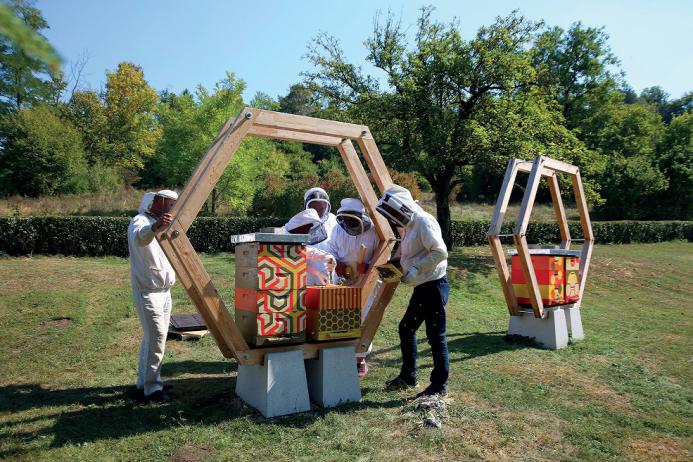 Urban beekeeping in Slovenia: moving forward, despite the pandemic