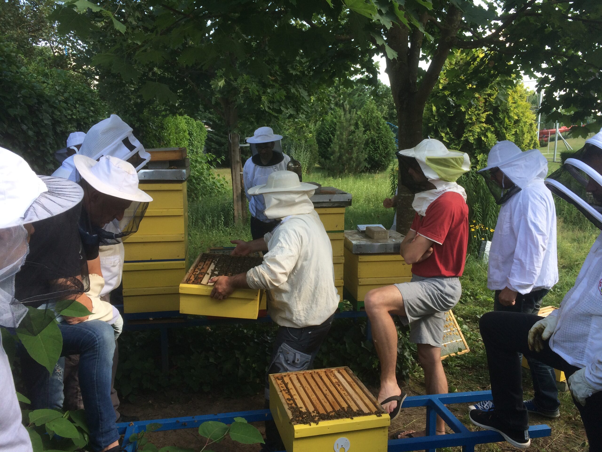Minister of Justice attends diploma award ceremony at the prison beekeeping course