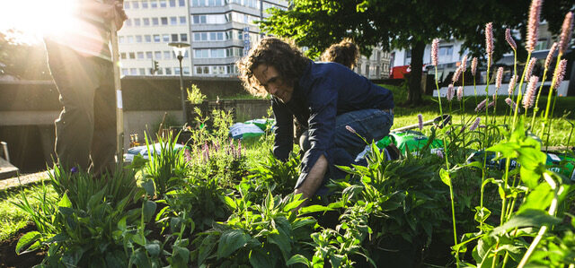 Four diverse and impactful urban food initiatives crowned winners of the 2022 Edible Cities Network Awards  